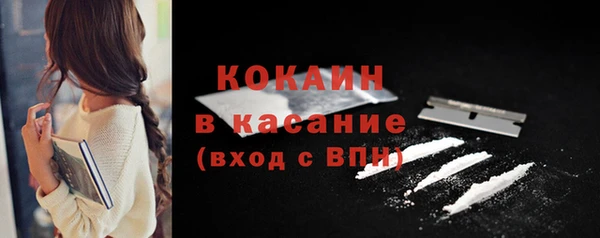 ПСИЛОЦИБИНОВЫЕ ГРИБЫ Няндома