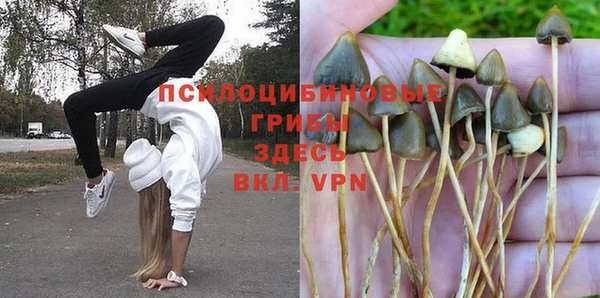 гашик Гатчина