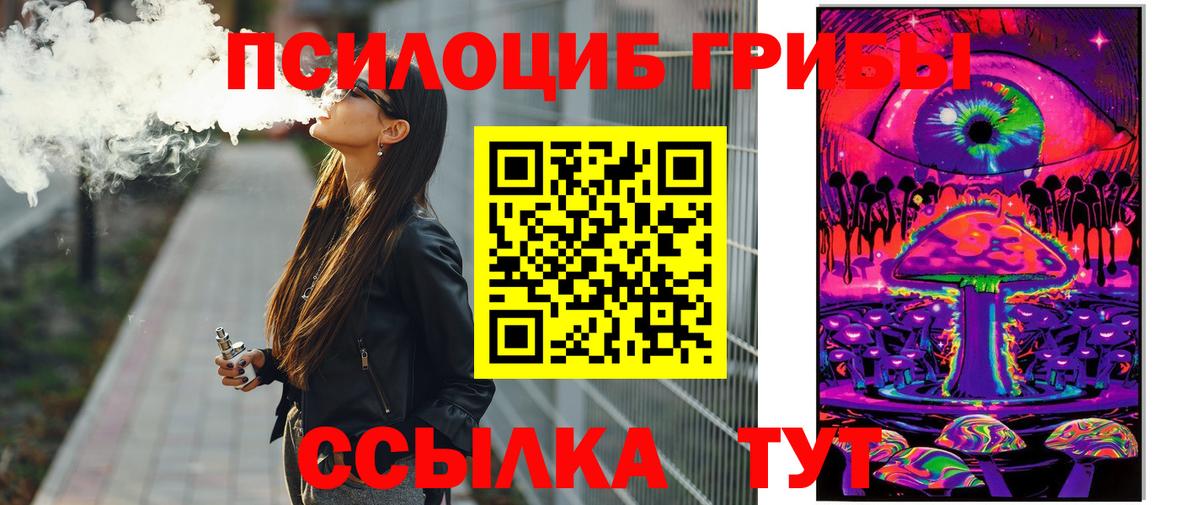 Галлюциногенные грибы Psilocybe Осинники