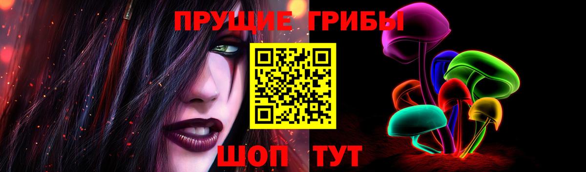 Галлюциногенные грибы MAGIC MUSHROOMS  Вход с VPN  Осинники 