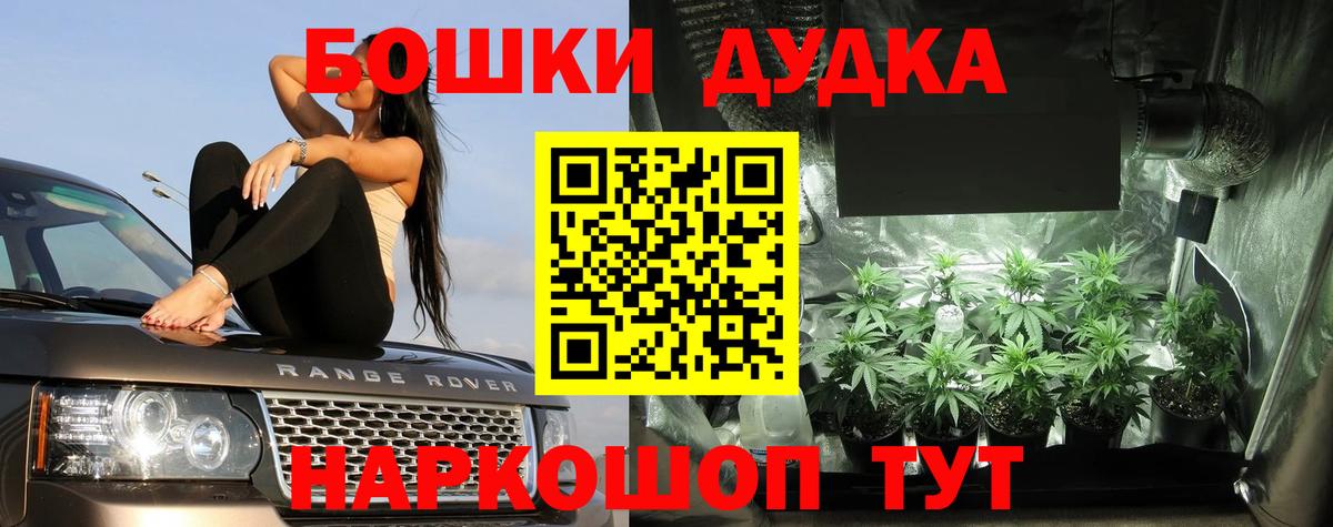 Бошки марихуана гибрид  Вход с VPN  Осинники  Каннабис AK-47 